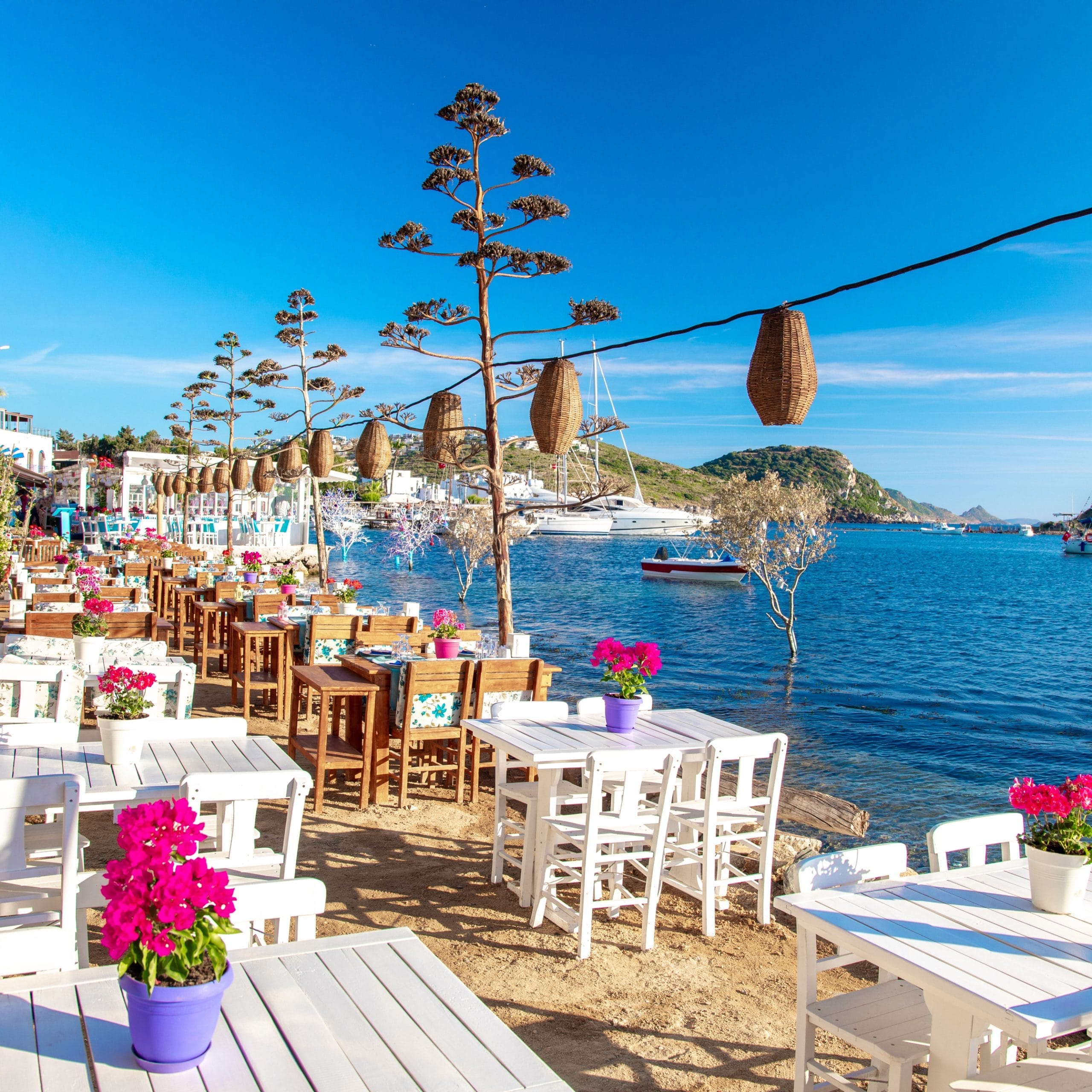 View of restaurant or cafe and bougainvillea flowers on beach in Gumusluk, Bodrum city of Turkey. Aegean seaside style colorful chairs, tables and flowers in Bodrum town near beautiful Aegean Sea.