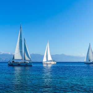 a group of sailboats in the water