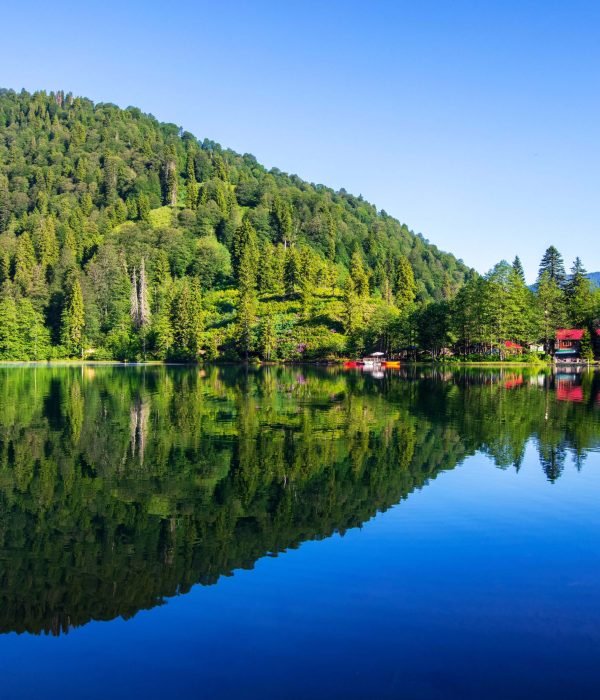 Artvin
