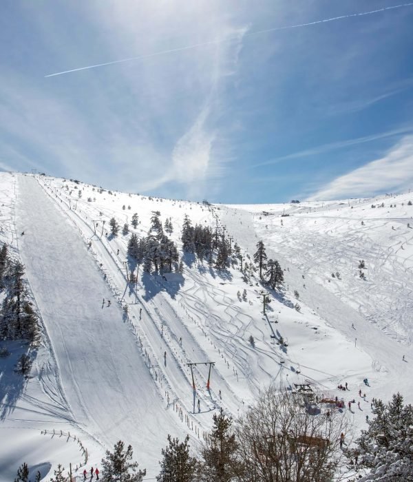 Kartalkaya